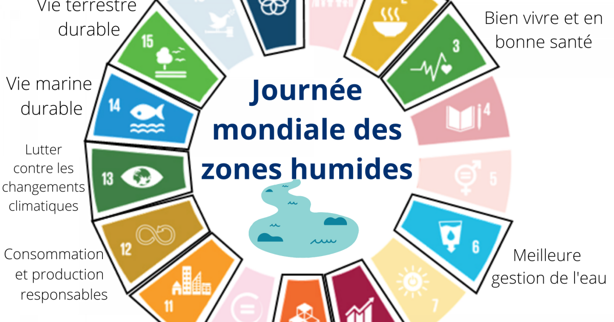 Les Zones Humides Au C Ur Des Objectifs De D Veloppement Durable L