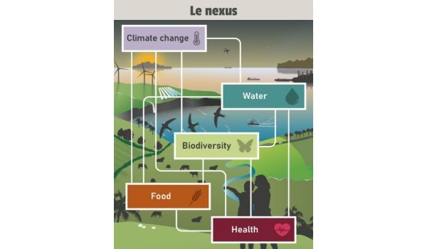 IPBES rapport sur les interconnections entre biodiversité, eau, alimentation et santé, décembre 2024.