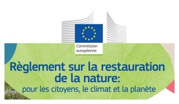 Commission européenne Règlement sur la restauration de la nature : pour les citoyens, le climat et la planète 