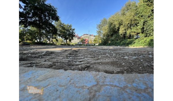 PerméaSol consiste en un projet de recherche sur l'évolution écologique d'un sol reperméabilisé au cœur de la ville.