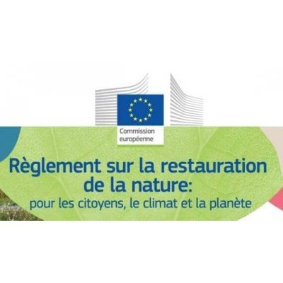 Commission européenne Règlement sur la restauration de la nature : pour les citoyens, le climat et la planète 
