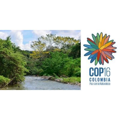 Conférence mondiale sur la biodiversité (COP16)