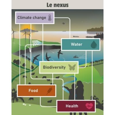 IPBES rapport sur les interconnections entre biodiversité, eau, alimentation et santé, décembre 2024.