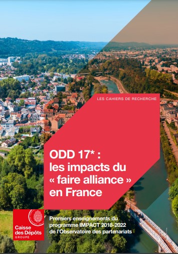 ODD 17 : les impacts du "faire alliance" en France