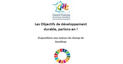 Livret CFHE (Le Conseil Français des Personnes Handicapées pour les Questions Européennes)