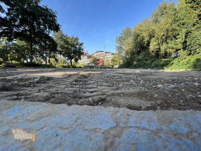 PerméaSol consiste en un projet de recherche sur l'évolution écologique d'un sol reperméabilisé au cœur de la ville.