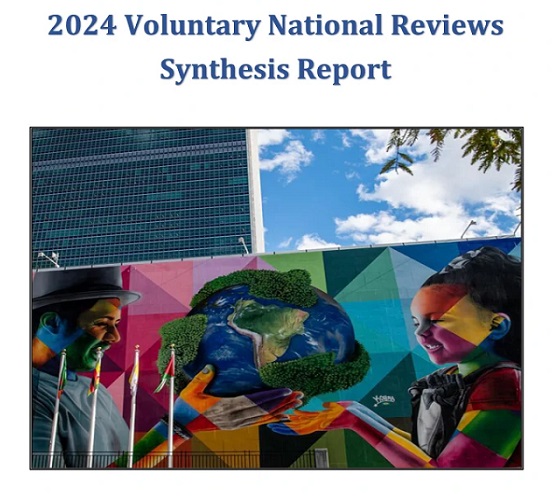 Rapport de synthèse des revues nationales volontaires 2024