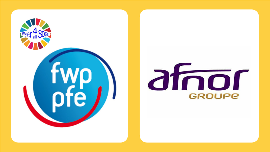 Logo PFE - AFNOR